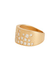 Scattered Snow Diamond Cigar Band