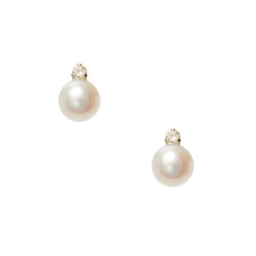 Precious Pearl Earrrings